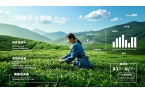 5大政策利好：江西茶产业2024年第一季