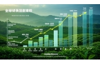 全球茶叶市场2026年价格前瞻：稳中有变